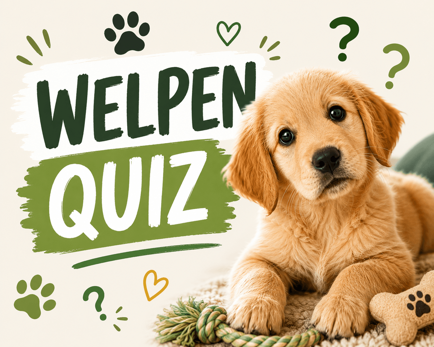 Welpen-Quiz